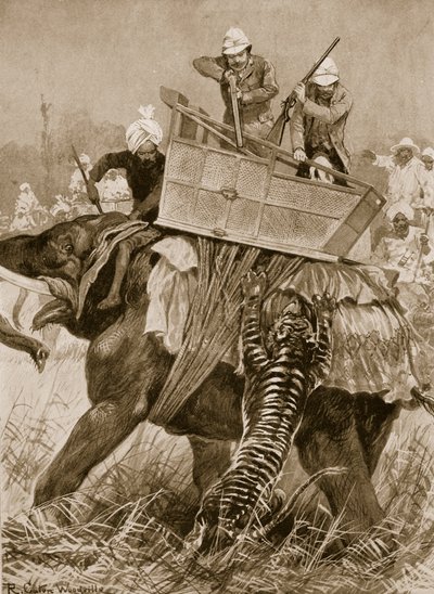 Het bezoek van de Prins van Wales aan India, 1876: De olifant van de prins aangevallen door een tijger in de Nepaul Terai, 21 februari, uit 